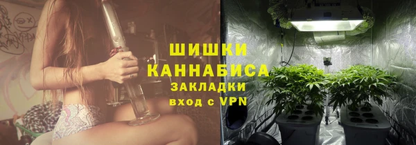 хмурый Мегион