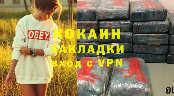 хмурый Мегион