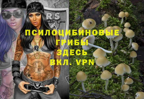 хмурый Мегион