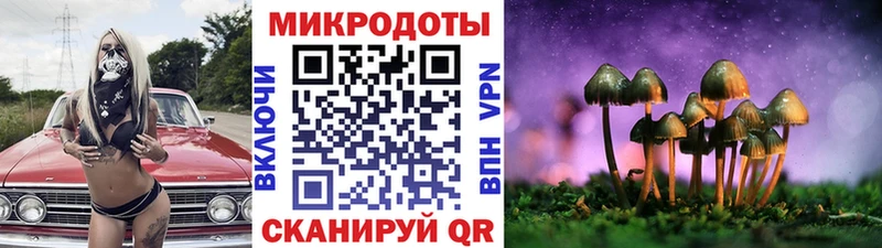 как найти наркотики  Циолковский  Псилоцибиновые грибы прущие грибы 